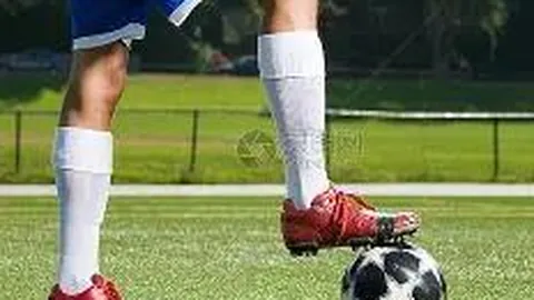 立博体育 资讯 144010 g9c