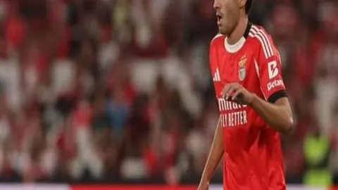 林今日体检通过加盟那不勒斯，伯恩茅斯中场转会费超900万欧元